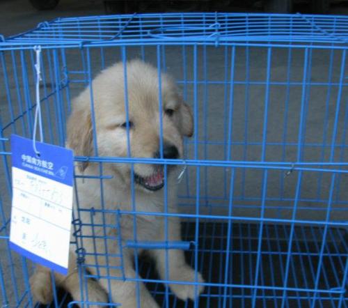 義烏到泰國(guó)物流專線